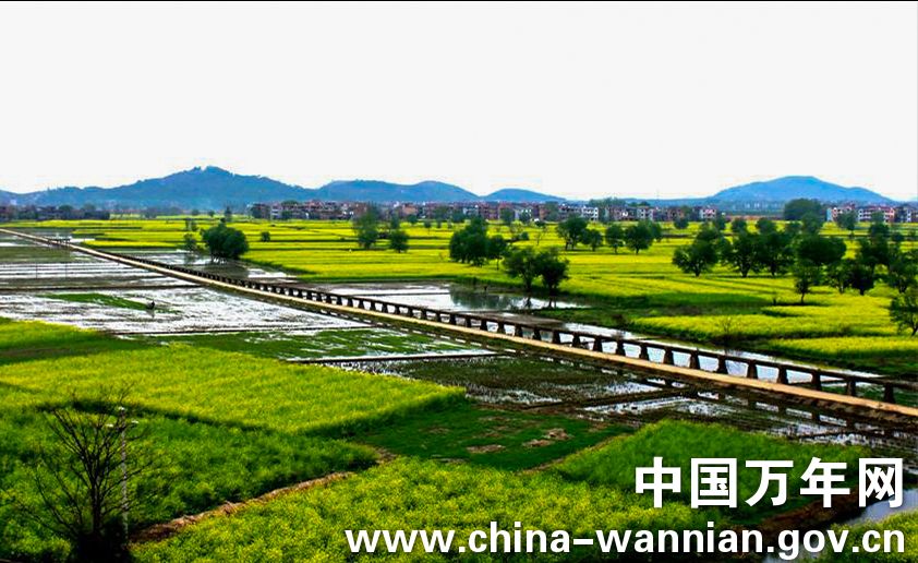 ���޻���